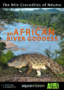 Watch River Dragons of Ndumo