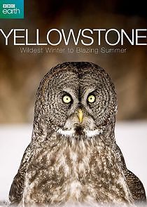 Watch Yellowstone: Wildest Winter to Blazing Summer