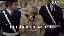 Watch Det är grisens fel!
