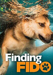 Watch Finding Fido