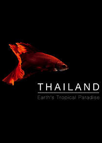 Watch Thailand: Earth's Tropical Paradise