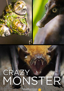 Watch Crazy Monster