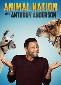 Watch Animal Nation with Anthony Anderson