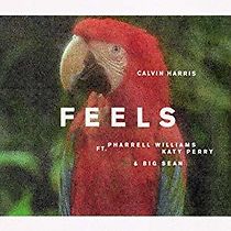 Watch Calvin Harris Feat. Pharrell Williams, Katy Perry, Big Sean: Feels