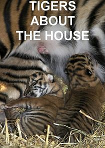 Watch Tigers About the House