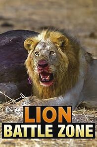 Watch Lion Battle Zone