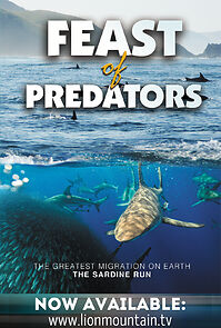 Watch Feast of Predators