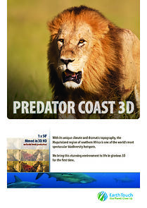 Watch Predator Coast