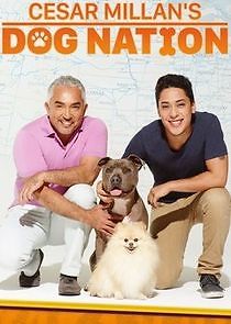 Watch Cesar Millan's Dog Nation