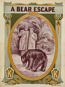 Watch A Bear Escape (Short 1912)