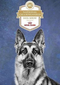 Watch AKC National Championship Dog Show