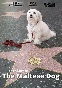 Watch The Maltese Dog