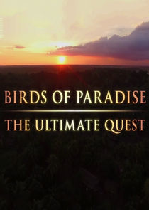 Watch Birds of Paradise: The Ultimate Quest