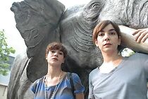 Watch Mujeres elefante