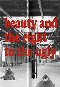 Watch Beauty and the Right to the Ugly