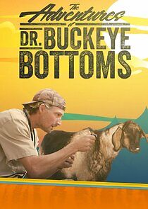 Watch The Adventures of Dr. Buckeye Bottoms