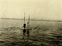 Watch Out of the Depths (Short 1914)