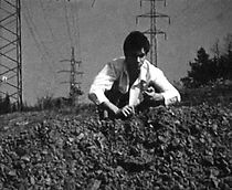 Watch In a Hole (Short 2007)