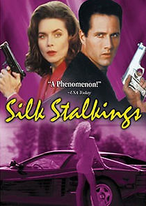 Watch Silk Stalkings