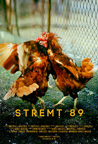 Watch Stremt 89 (Short 2012)