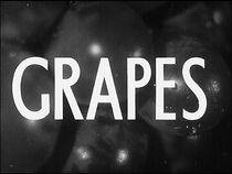 Watch Australian Wines (Short 1931)