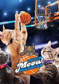 Watch Meow Madness
