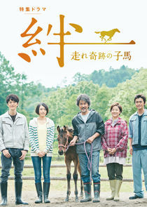 Watch Ties: A Miraculous Colt