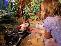 Watch I Wish I Went to Ecuador (Short 2011)