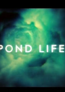 Watch Pond Life