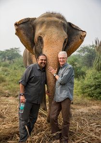 Watch Paul O'Grady: For the Love of Animals - India