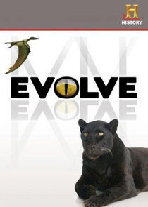 Watch Evolve