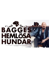 Watch Bagges hemlösa hundar