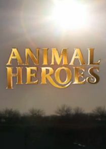 Watch Animal Heroes