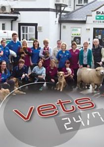 Watch Vets 24/7
