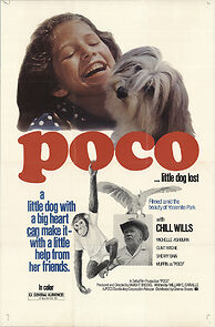 Watch Poco... Little Dog Lost