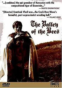 Watch Valley of the Bees