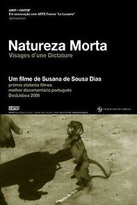 Watch Natureza Morta