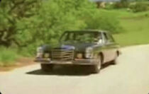 Watch Pig! (Short 1996)