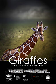 Watch Giraffes: The Forgotten Giants