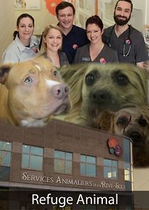 Watch Refuge Animal