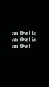 Watch An Owl Is an Owl Is an Owl (Short 1990)