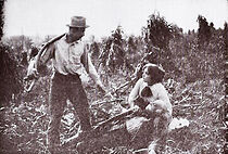 Watch A Daughter's Sacrifice (Short 1912)