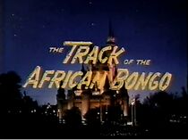Watch The Track of the African Bongo