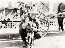 Watch The Boss of the Lazy Y