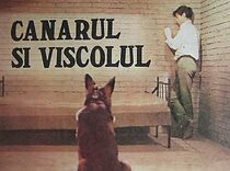 Watch Canarul si viscolul