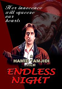 Watch Endless Night