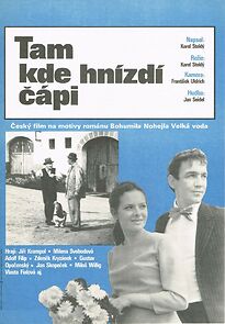 Watch Tam, kde hnizdi cápi