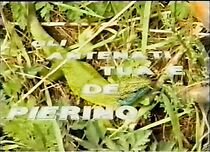 Watch L'antenati tua e de Pierino