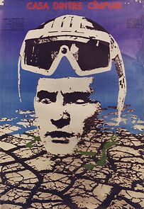 Watch The House Between the Fields