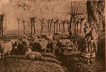 Watch The Shepherdess (Short 1910)